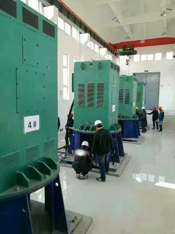 JR136-6某污水处理厂使用我厂的立式高压电机安装现场
