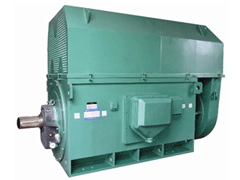 JR136-6Y系列6KV高压电机