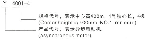 西安泰富西玛Y系列(H355-1000)高压JR136-6三相异步电机型号说明